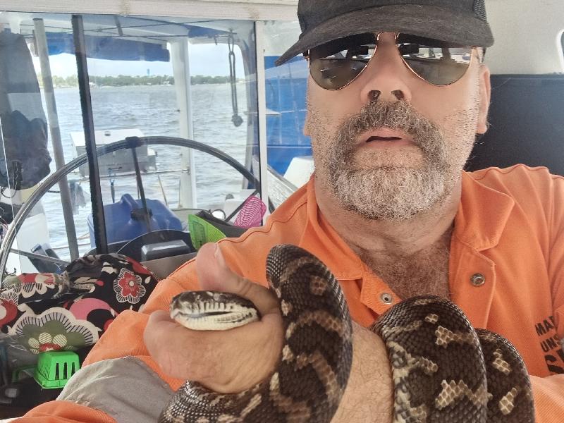 Coastal_Carpet_Python__Morelia_spilota_mcdowelli__678.jpg